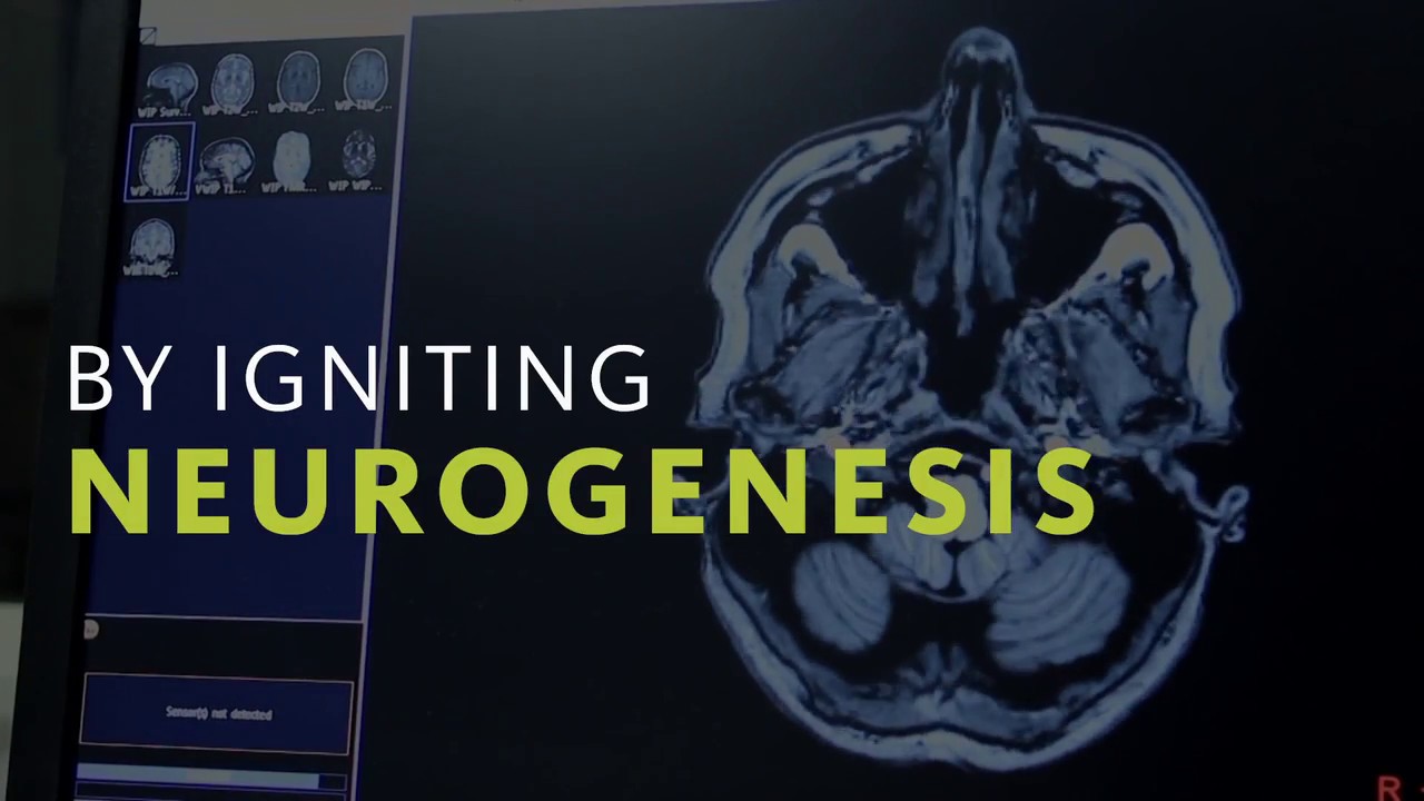 closing-in-on-a-cure-dr-roberta-diaz-brinton-and-allopregnanolone