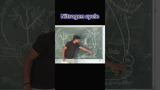 science nitrogen cycle by sp sir #mathskills #motivation #mathshorts #scienceshorts  #science