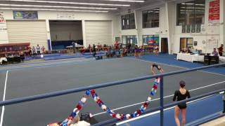 Georgia Level 3 State Champion on Floor 2017