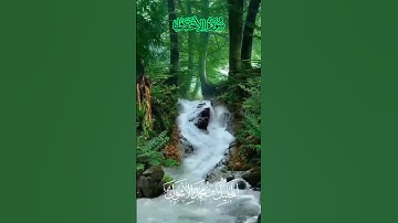 #سورة_الأحقاف#راحة_نفسية #duet #القارىء_الخليل_الأشول #الشعب_الصيني_ماله_حل #تيك_توك