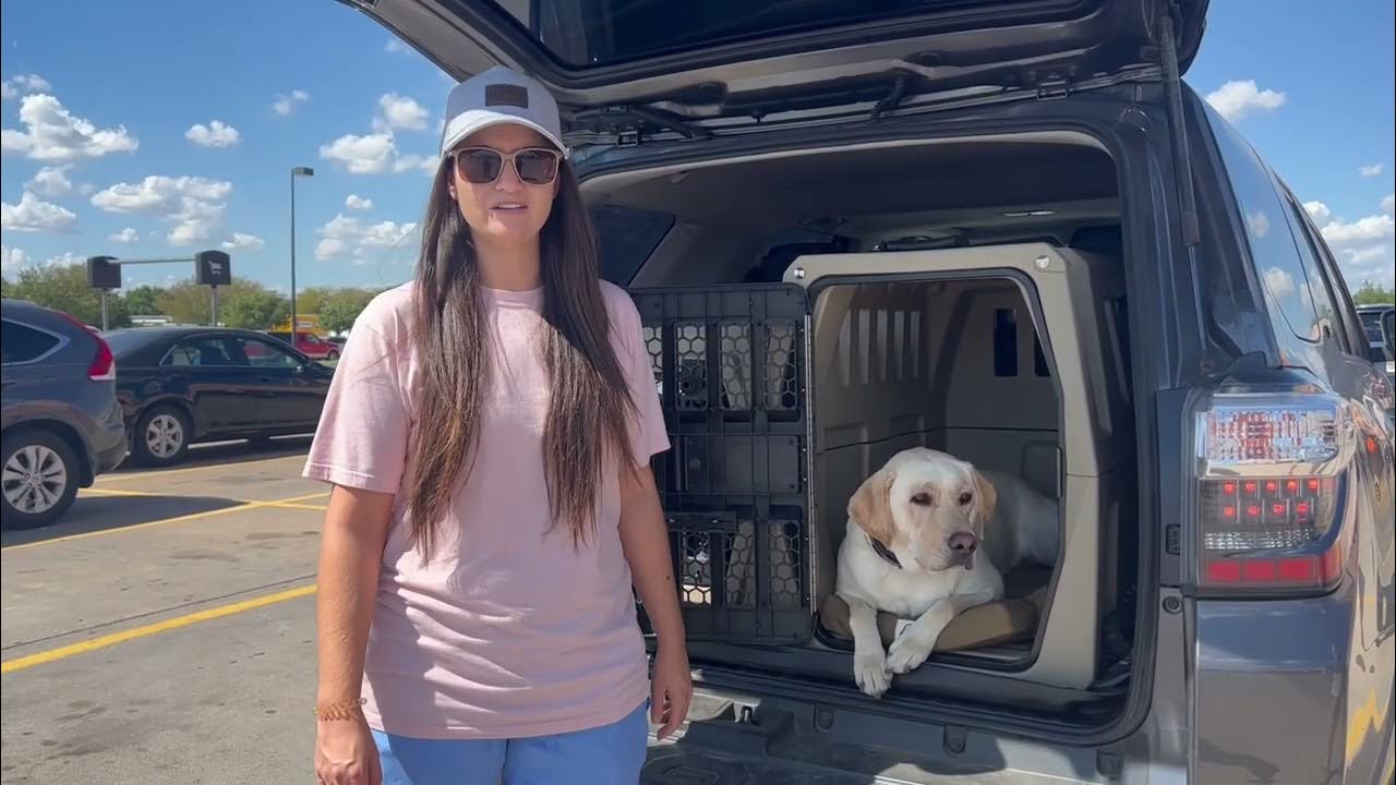 Dog Training Southlake Tip Top K9 Reviews YouTube