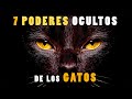 😻 7 PODERES OCULTOS de los GATOS #gatos