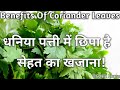 Benefits Of Coriander Leaves | धनिया पत्ती में छिपा है सेहत का खजाना ! धनीया पत्ति के फायदे!