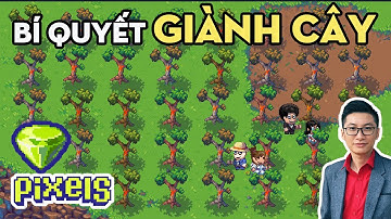 LÂM TẶC TRANH GỖ - Bí kíp tranh giành chặt gỗ ngàn năm có một trong game PIXELS