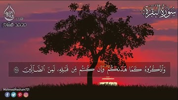 رحلة حفظ القران | الصفحة 31 - سورة البقرة الايات 197-202 مكررة سبع مرات لتسهيل الحفظ بصوت محمد هشام
