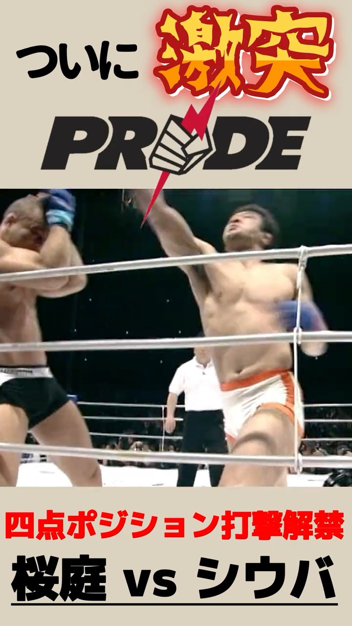 PRIDEが至高だった件（桜庭和志 vs ヴァンダレイ・シウバ）勝敗の