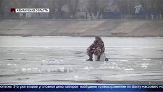 Рыба массово гибнет в Атырау Рыба массово гибнет в Атырау