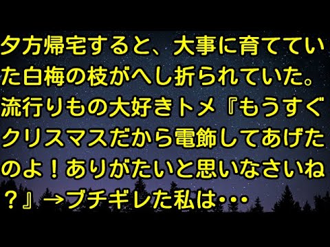 【スカッとする話】夕方帰宅すると、大事に育てていた白梅の枝がへし折られていた。流行りもの大好きトメ『もうすぐクリスマスだから電飾してあげたのよ！ありがたいと思いなさいね？』→ブチギレた私は…