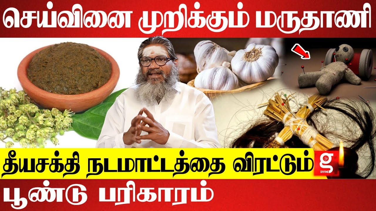 கெட்ட சக்திகளை வீட்டில் நுழைய விடாமல் தடுக்க சித்தர்கள் சொன்ன பரிகாரம் | Palaru Swamigal