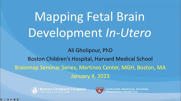 BrainMap: Mapping fetal brain development in-utero
