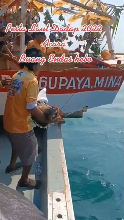 lempar kepala kebo ke laut, tradisi pesta laut #tiktok #viral #videoviral #laut #kebo