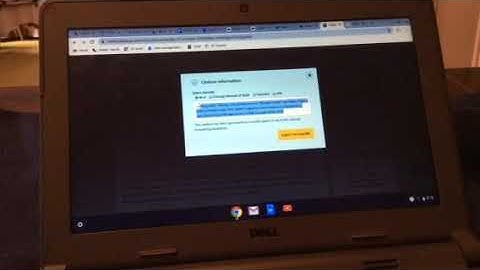 11 AP- How to use the library databases/ format Works Cited Page