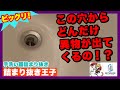 【詰まり抜き】こんなに異物が入ってたら詰まります！排水口に異物が流れないようにご注意下さい！！[drain][排水溝掃除][現場]