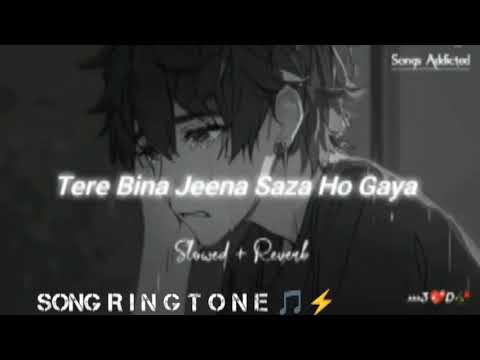 Teriii me ruu bn java 🥺😫❤️‍🩹|| tej gill || Best Ringtone 🎧|| #_viral #_ringtone @mintuu_vlogs1 