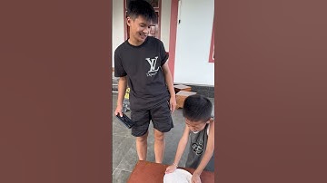 Tiểu Lùn trêu anh Lùn Tippi | Tippi Vips #tippitv