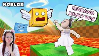 Tendang Lucky Box ?!! [Roblox Indonesia]