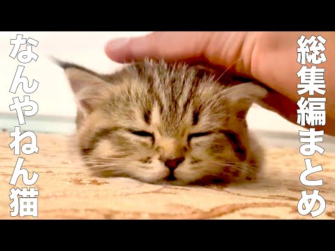 自分が思う最高の猫画 原画：宙を歩く～光を知った猫～（サイズ：F8号（額縁含む 横