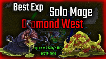 Best Exp for Solo mage - Oramond West - Tibia 2022