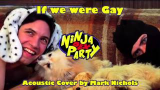 Video thumbnail of "Ninja Sex Party - If We Were Gay (Acoustic Cover)"