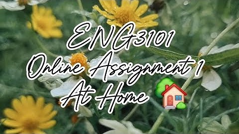 Online Assignment 1: At Home (ENG3101)