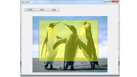 Cropping image VB.NET - Tutorial (visual basic)