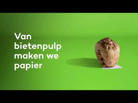 Suikerbietenpapier gemaakt van bietenpulp | Cosun Beet Company