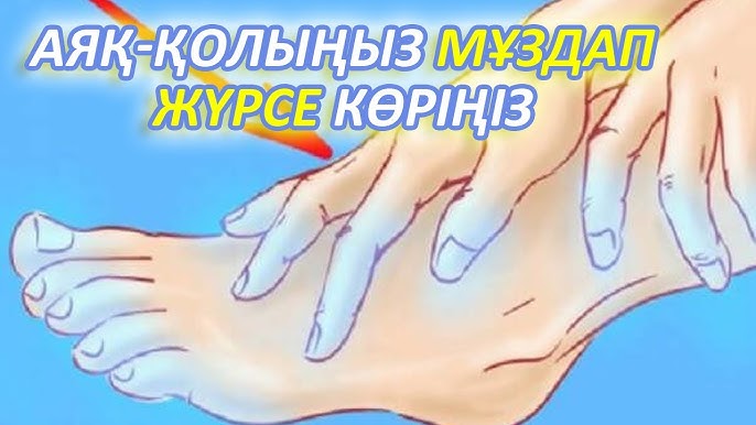 Барлық порно онлайн телеарналар