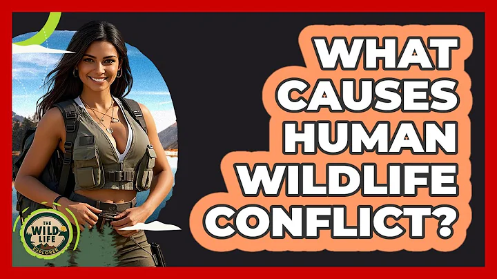 What Causes Human Wildlife Conflict?