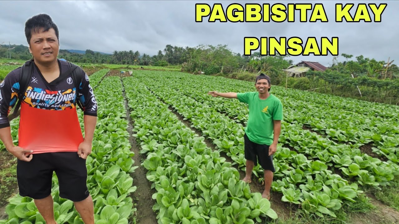 Pagbisita kay pinsan namiss ko bigla