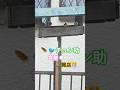🐦️🪶チュン助食堂🍽️開店🎊