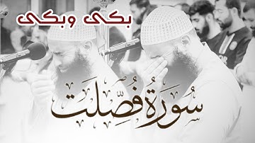 سورة فصلت _ الشيخ محمد عرفات الباز 