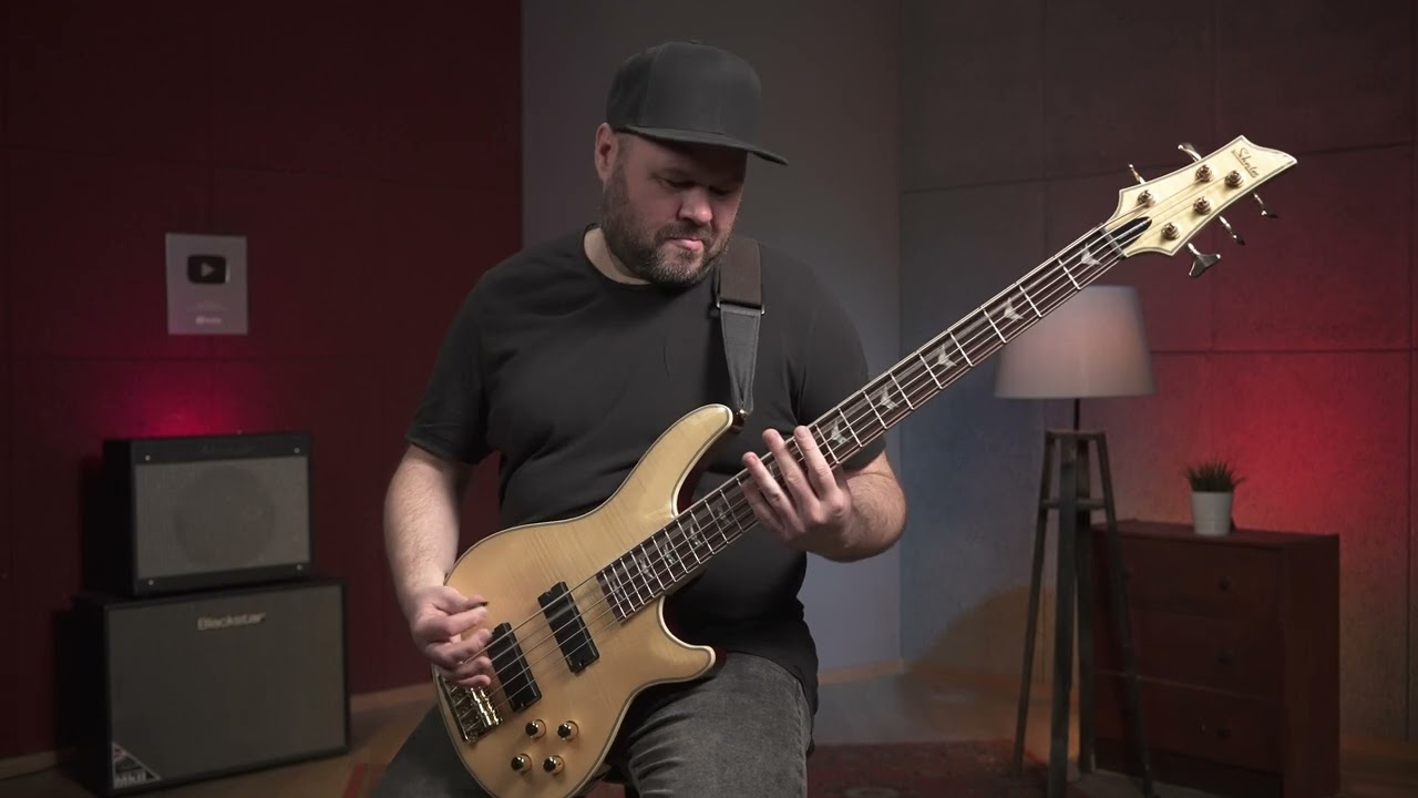 Бас гитара SCHECTER OMEN EXTREME 5 GNAT