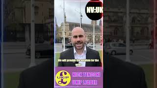 Nick Tenconis Audacious Plan For Ukips Future