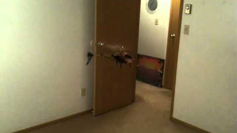 Walkera V200D02 Part 2