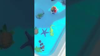 Ocean Animal Ice Rescue