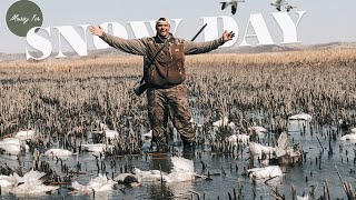 Thousands of Snow Geese!  We couldn't believe what we were seeing!