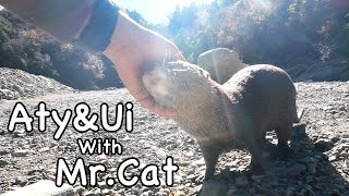 Aty is happy to be with me in the river for the first time in a long time. [Otter life Day 639]