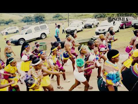 Izinyane leNkosi uZungu Membeso  (Izintombi zingena esigodlweni)