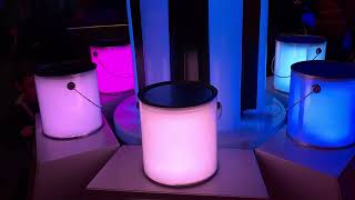 Innoventions East - Ty Burrell - Colortopia by Glidden - Epcot, Walt Disney World 01-23-2016