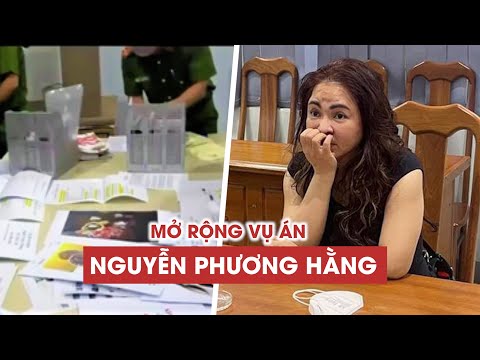 Mở rộng vụ án Nguyễn Phương Hằng: Phân loại, có dấu hiệu hình sự sẽ khởi tố