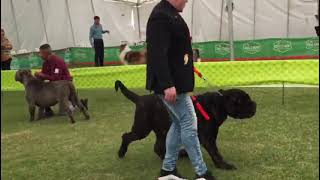 Thor em Evento
