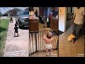 Welcome Home Daddy !!! When Daddy Comes Home| TikTok Compilation
