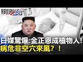 全球關注！日媒也驚爆：金正恩成植物人！病危非空穴來風？！【2020聚焦關鍵】周末播出版 20200425-1劉寶傑 黃文華 黃世聰 李正皓 陳玲玲 洪永祥 姚惠珍