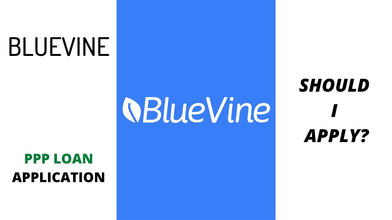 BlueVine PPP Loan | Have You Applied Yet?