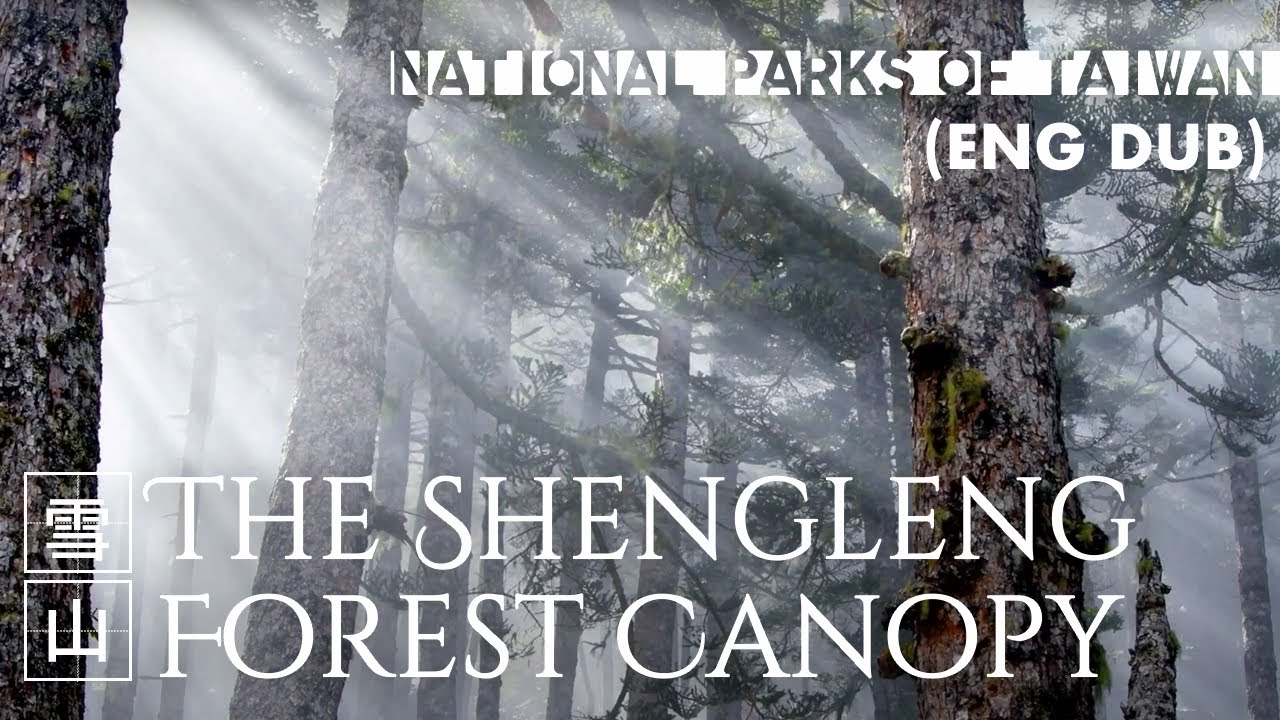 Shei-Pa National Park｜The Shengleng Forest Canopy (ENG DUB)｜Taiwan｜雪霸國家公園 ｜聖稜樹冠