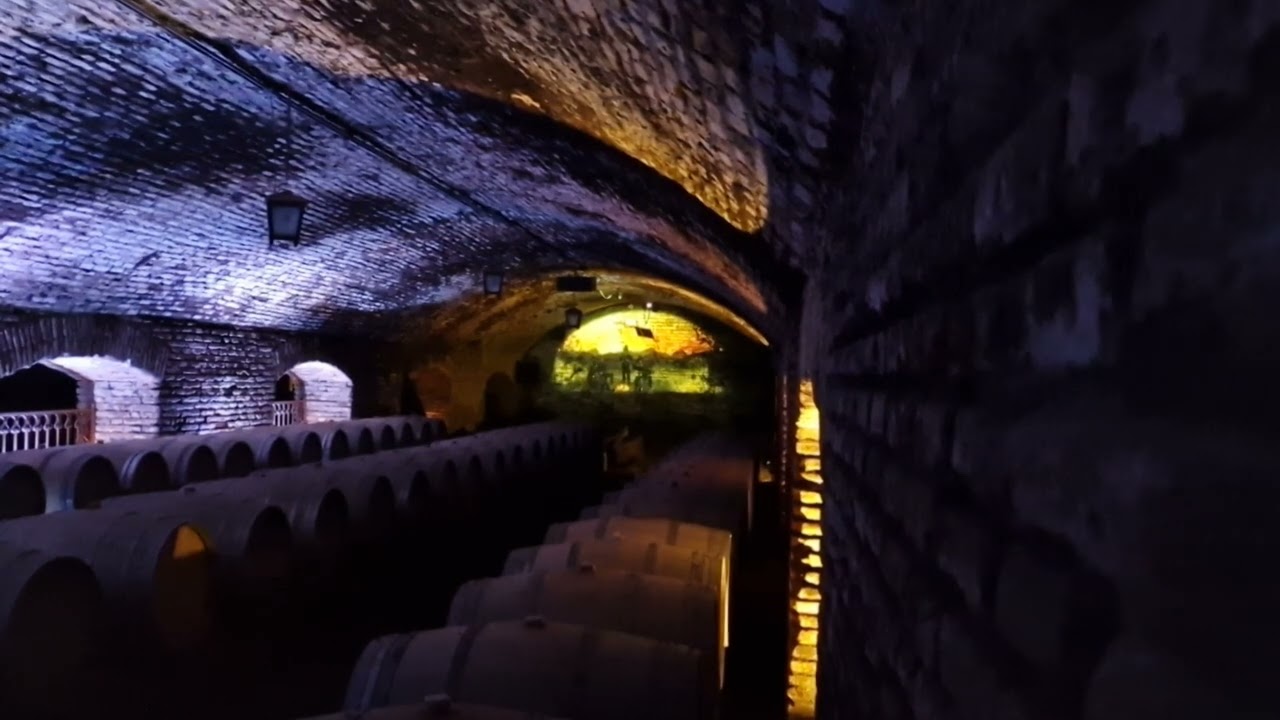 Concha y Toro. wine tasting.