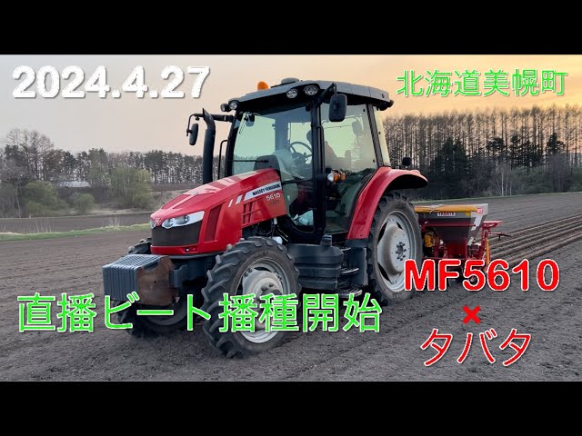 April 27, 2024] Direct seeding of beetroot has begun. Scenes from