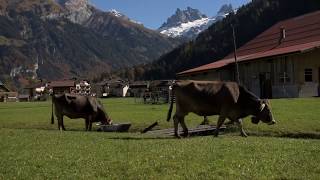 Switzerland Villages (Kaisersthul, Engelberg)