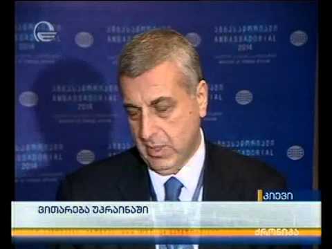 უკრაინაში საქართველოს ელჩის კომენტარი კიევში მიმდინარე მოვლენებზე