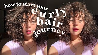 HOW TO START YOUR CURLY HAIR JOURNEY! how to fix damaged hair and accept your curls :)